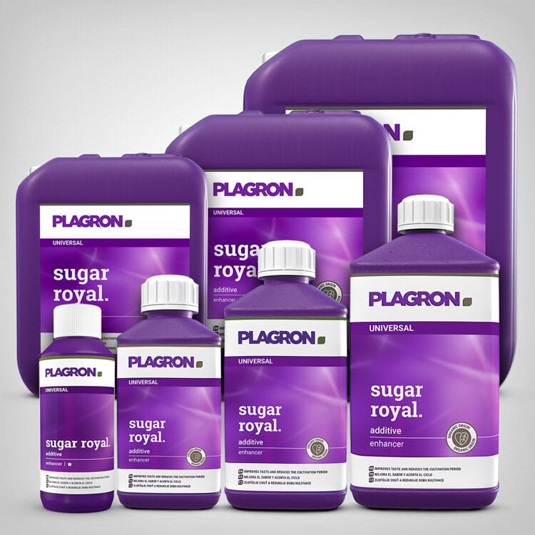 Plagron Sugar Royal