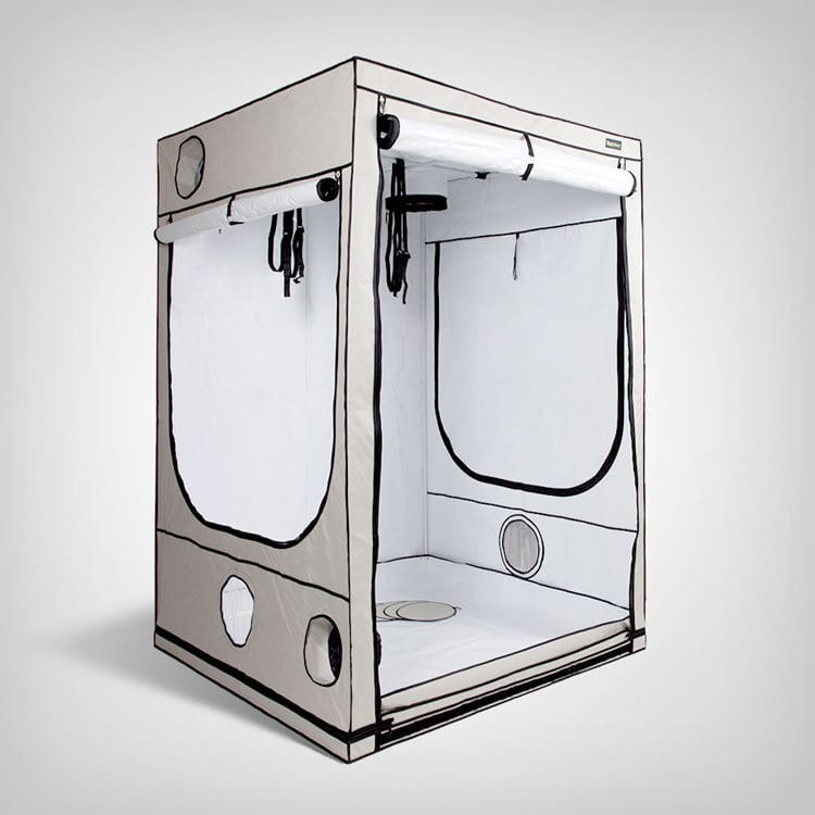 Homebox Q150+ Ambient, 150x150x220cm