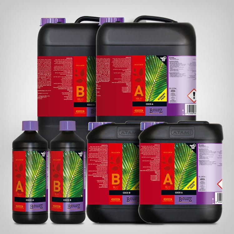 Atami B'cuzz Coco A und B, 1