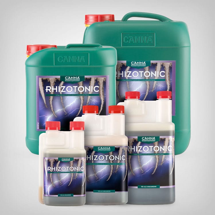 Canna Rhizotonic