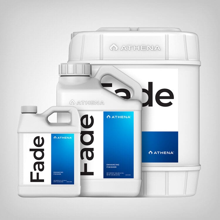 Athena Fade