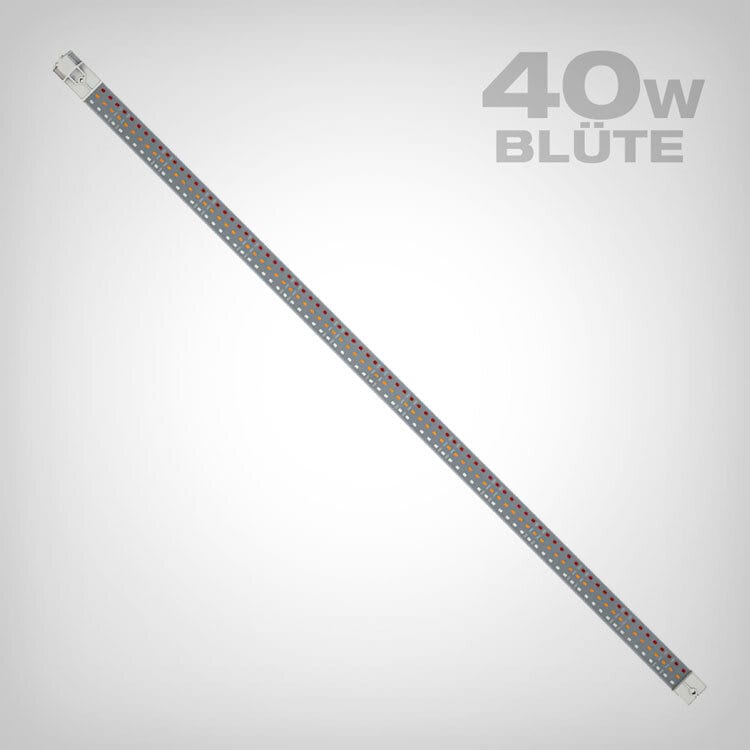 Secret Jardin Cosmorrow LED Blüte, 40W