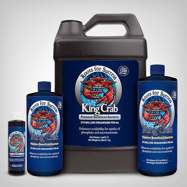 King Crab Premium Bacterial Liquid