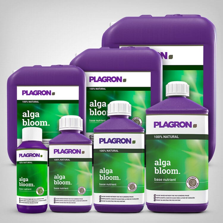 Plagron Alga Bloom