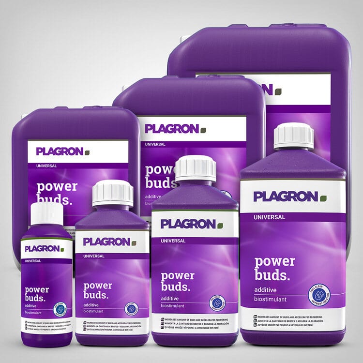 Plagron Power Buds,