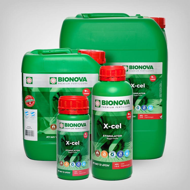 Bio Nova X-ceL Boost Stimulator