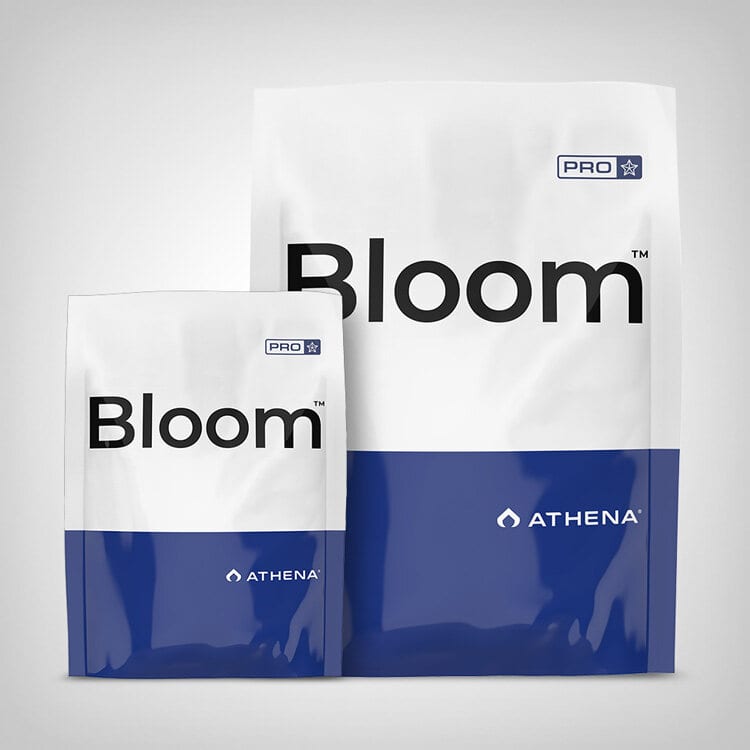 Athena Pro Bloom