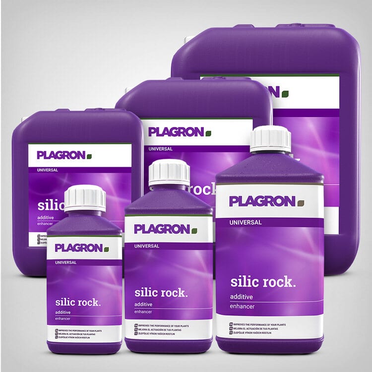 Plagron Silic Rock