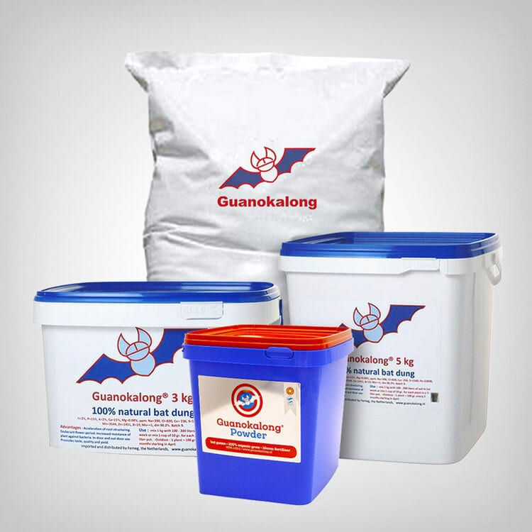 Guanokalong Powder, 1