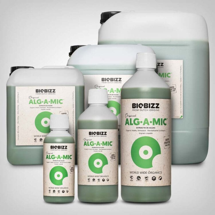 BioBizz-Alg-A-Mic