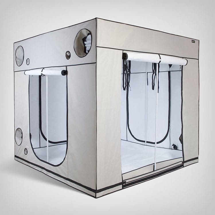 Homebox Q240+ Ambient, 240x240x220cm