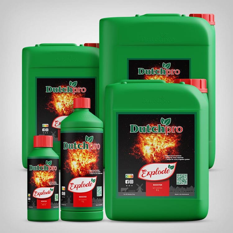 DutchPro Explode