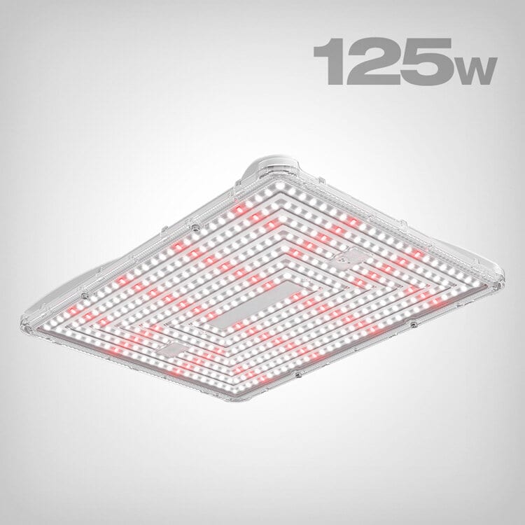 Secret Jardin Power Pack LED, 125W