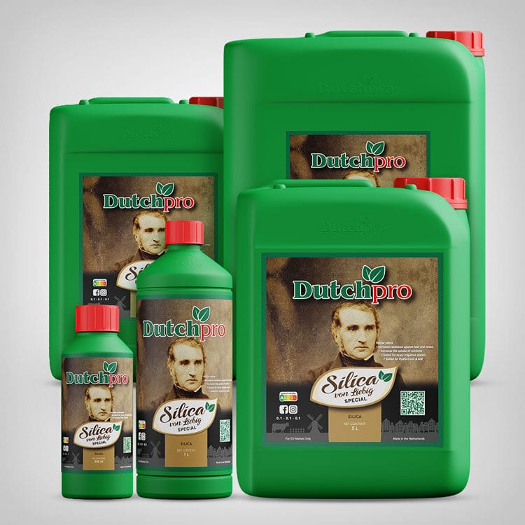 DutchPro Silicia von Liebig Special