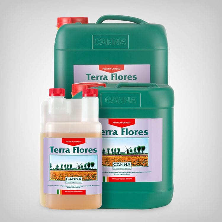 Canna Terra Flores