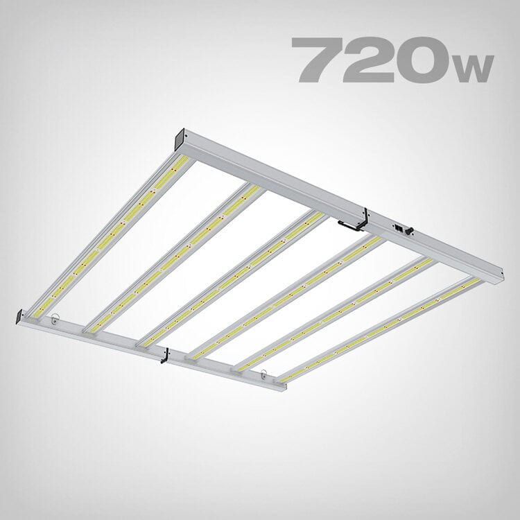 Lazerlite Compact LED, 720W