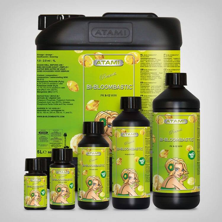 Atami ATA NRG Bi-Bloombastic