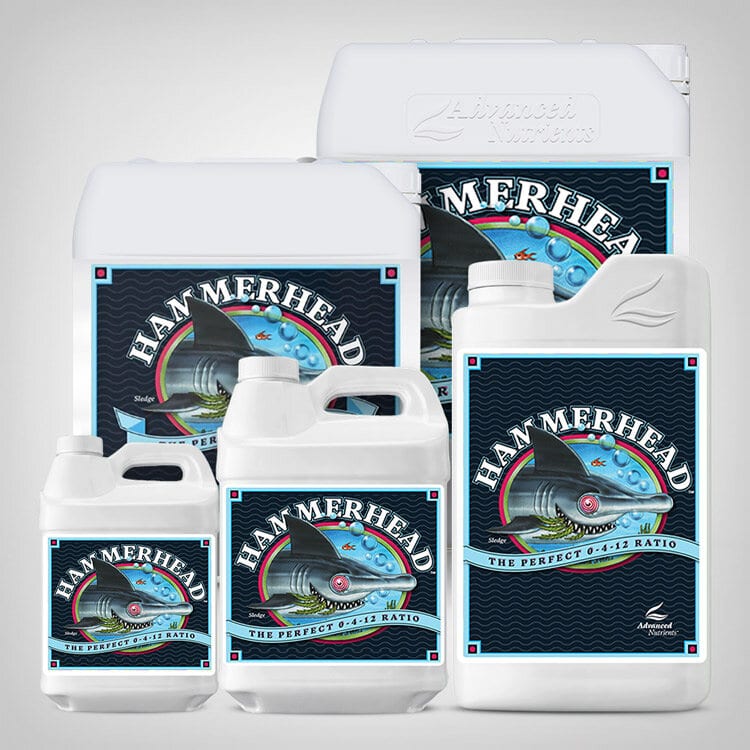 Kopie von Advanced Nutrients Bud Blood Powder, 20g-10kg #1