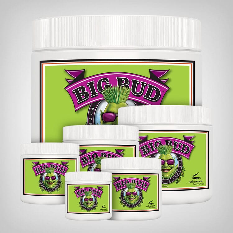 Advanced Nutrients Big Bud Powder