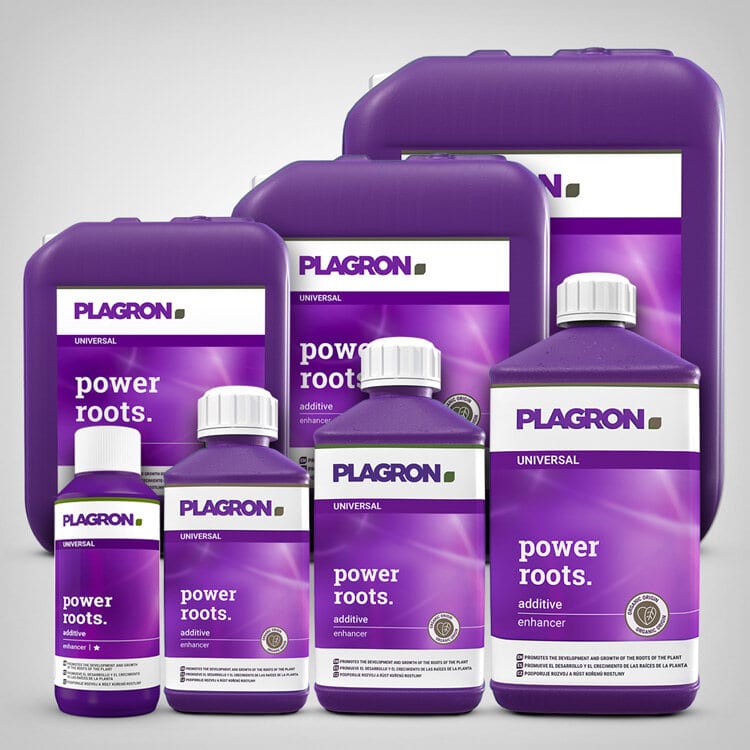 Plagron Power Roots