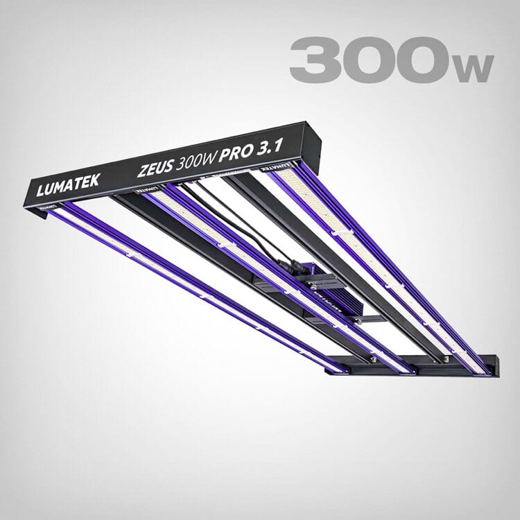 Lumatek ZEUS 300W PRO LED 3.1